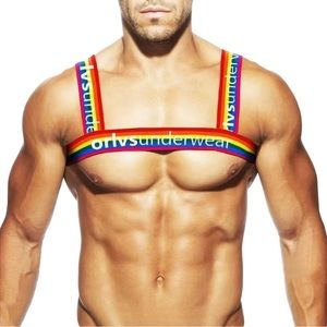 NWT ORLVS Rainbow Stretch Chest Harness - Pride Festival Rave